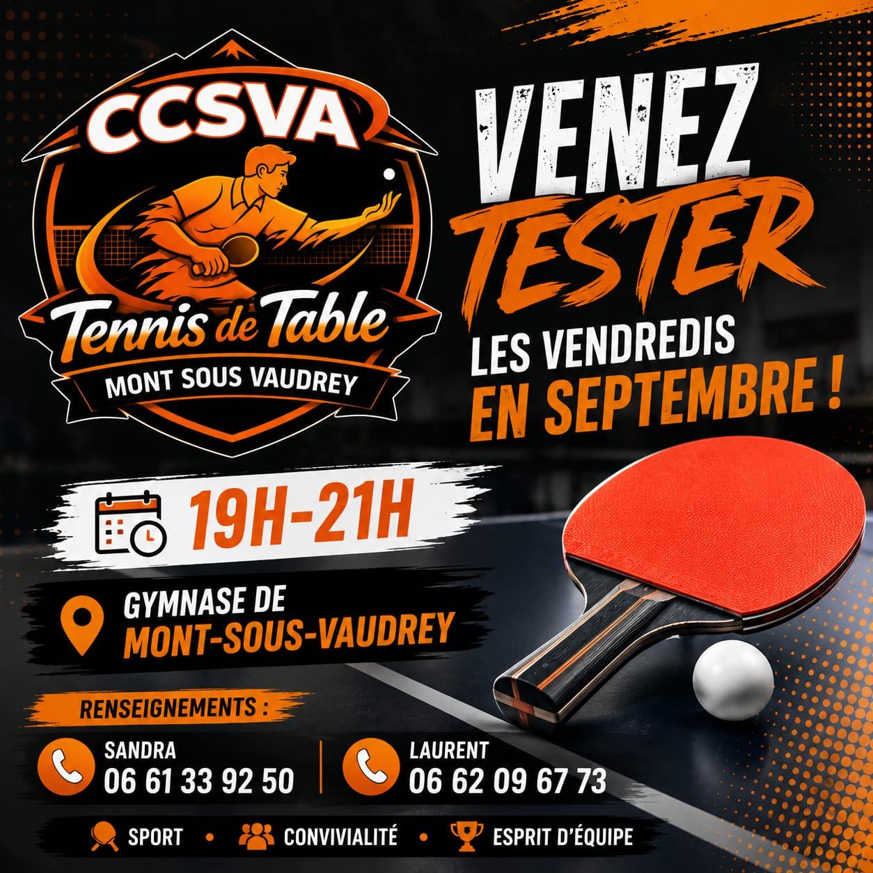 tennis de tabla